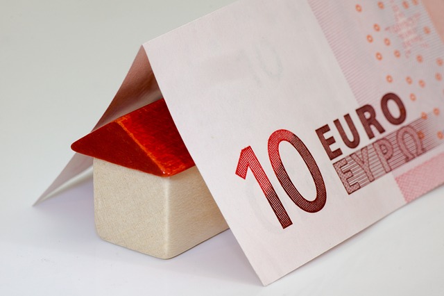 dřevěný domek, euro bankovka